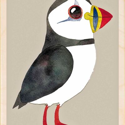 Pulcinella di mare, cartoline in legno sostenibili, set da 6 (10x15 cm) | The Wooden Postcard Company