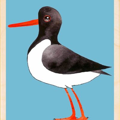 Beccaccia di mare, cartoline in legno sostenibili, set da 6 (10x15 cm) | The Wooden Postcard Company