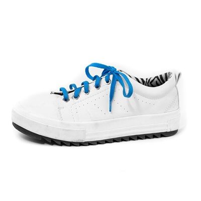 Flat Shoelaces - Blue
