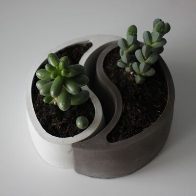 Yin & Yang flowerpot