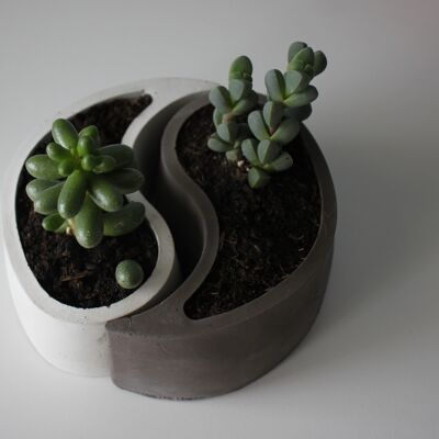 Pot de fleurs Yin & Yang