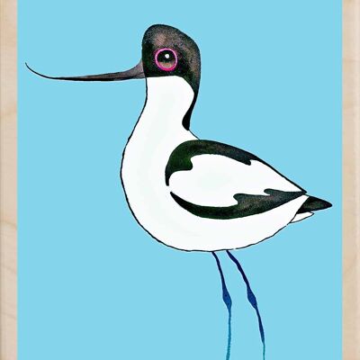 Avocet, cartoline in legno sostenibili, set da 6 (10x15 cm) | The Wooden Postcard Company