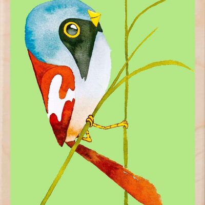 Cincia barbata, cartoline in legno sostenibili, set da 6 (10x15 cm) | The Wooden Postcard Company