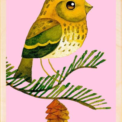 Serin, cartoline in legno sostenibili, set da 6 (10x15 cm) | The Wooden Postcard Company