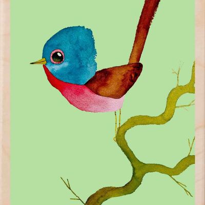 Fauvette, cartes postales en bois durables, lot de 6 (10 x 15 cm) | The Wooden Postcard Company