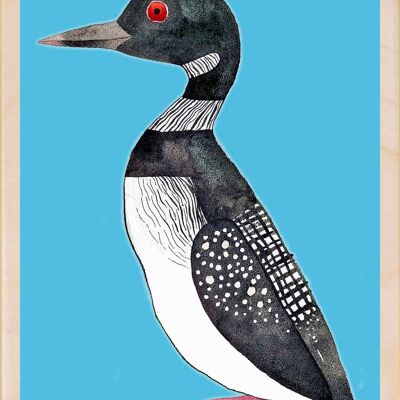 Plongeon arctique, cartes postales en bois durables, lot de 6 (10 x 15 cm) | The Wooden Postcard Company