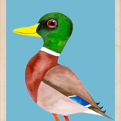 Stockente, nachhaltige Holzpostkarten, 6er-Set (10x15cm) | The Wooden Postcard Company