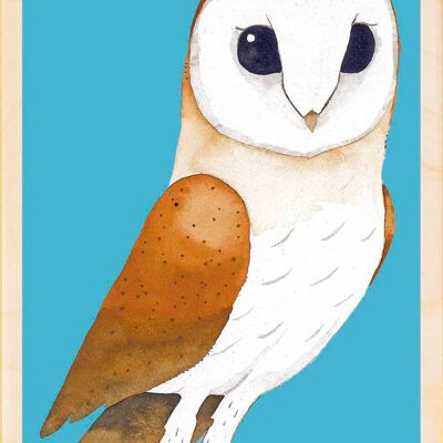 Barn Owl, Sustainable Wooden Postcards, set of 6 (10x15cm) | The Wooden Postcard Company