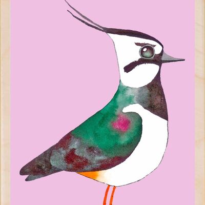 Vanneau huppé, cartes postales en bois durables, lot de 6 (10 x 15 cm) | The Wooden Postcard Company