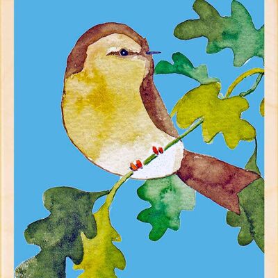 ChiffChaff, cartoline in legno sostenibili, set da 6 (10x15 cm) | The Wooden Postcard Company