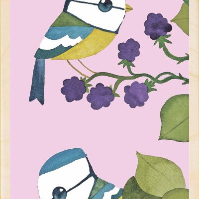 Herrerillos azules, postales sostenibles de madera, juego de 6 (10 x 15 cm) | The Wooden Postcard Company