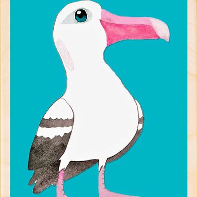 Albatross, cartoline in legno sostenibili, set da 6 (10x15 cm) | The Wooden Postcard Company