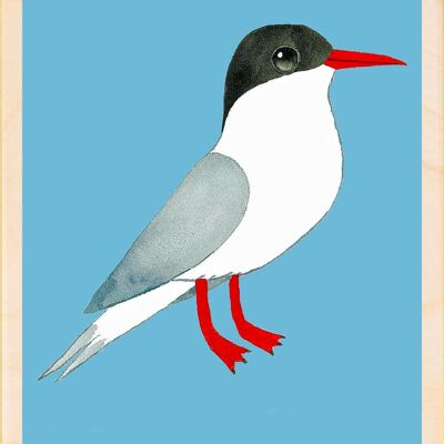 Sterne, Cartes postales en bois durables, lot de 6 (10 x 15 cm) | The Wooden Postcard Company