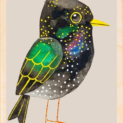 Étourneau, Cartes postales en bois durables, lot de 6 (10 x 15 cm) | The Wooden Postcard Company