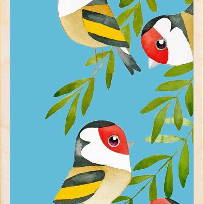 Jilgueros, postales sostenibles de madera, juego de 6 (10 x 15 cm) | The Wooden Postcard Company