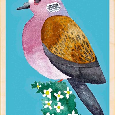 Dove, cartoline in legno sostenibili, set da 6 (10x15 cm) | The Wooden Postcard Company