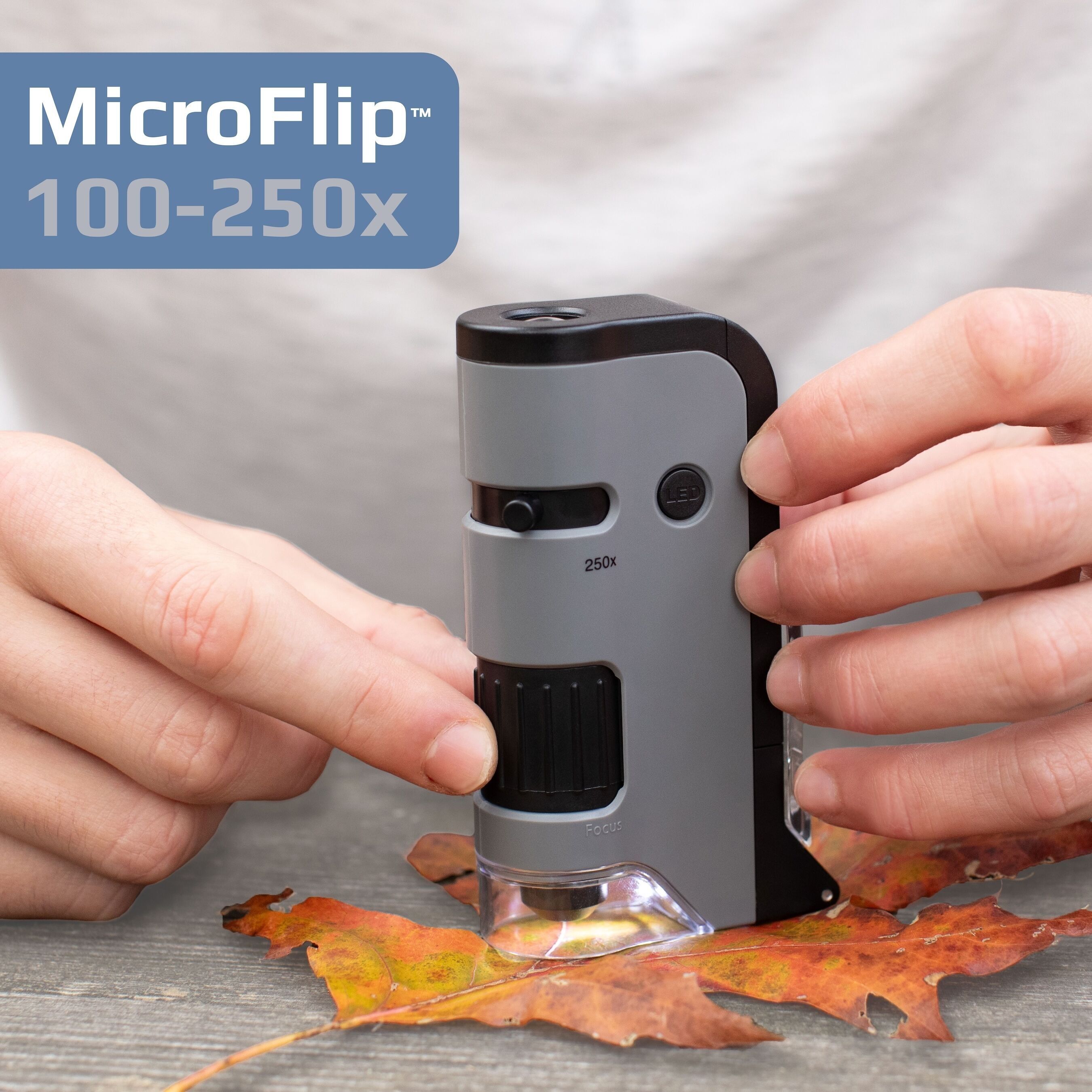 100x-250x LED-Hochleistungs-Taschenmikroskop mit Telefonadapter