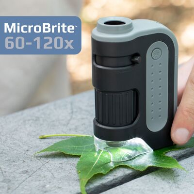 Microscopio tascabile illuminato 60x-120x, portatile, didattico