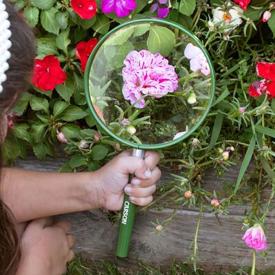 Lente d'ingrandimento portatile 2x di grandi dimensioni - Strumento STEM per bambini