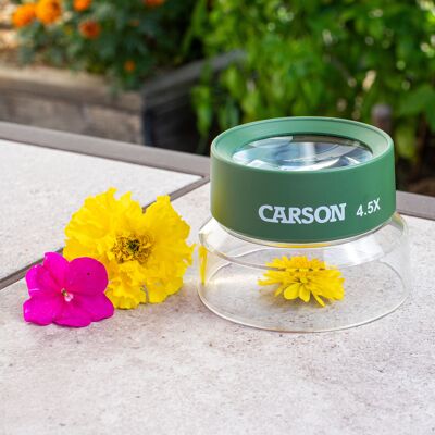 Lupa de pie preenfocada para niños, visor de insectos