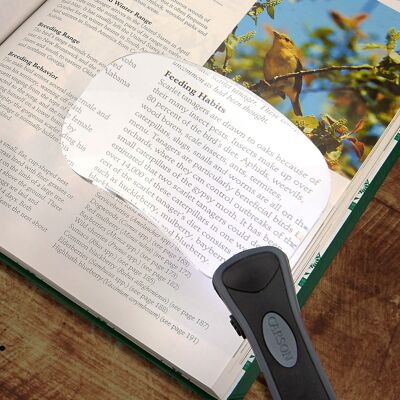 Loupe rectangulaire sans monture éclairée par LED pour la lecture