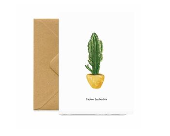 Carte de tous les jours Cactus Euphorbia 1