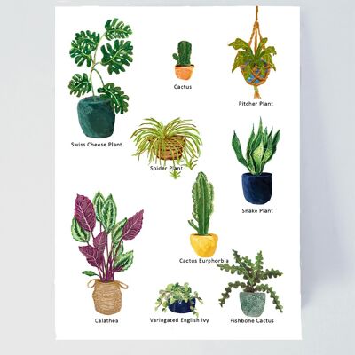 Stampa artistica degli amanti delle piante