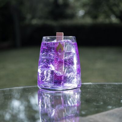 Daiquiri violeta