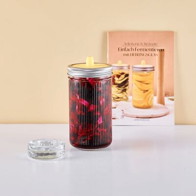 Fermentieren Set | Mini