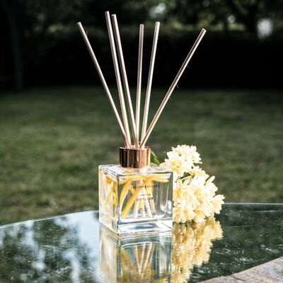 Diffuseur de noix de coco et de citron vert