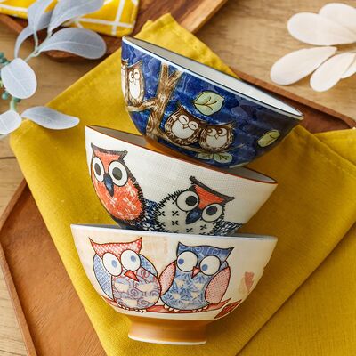 Rice Bowls with Cute Owl Design