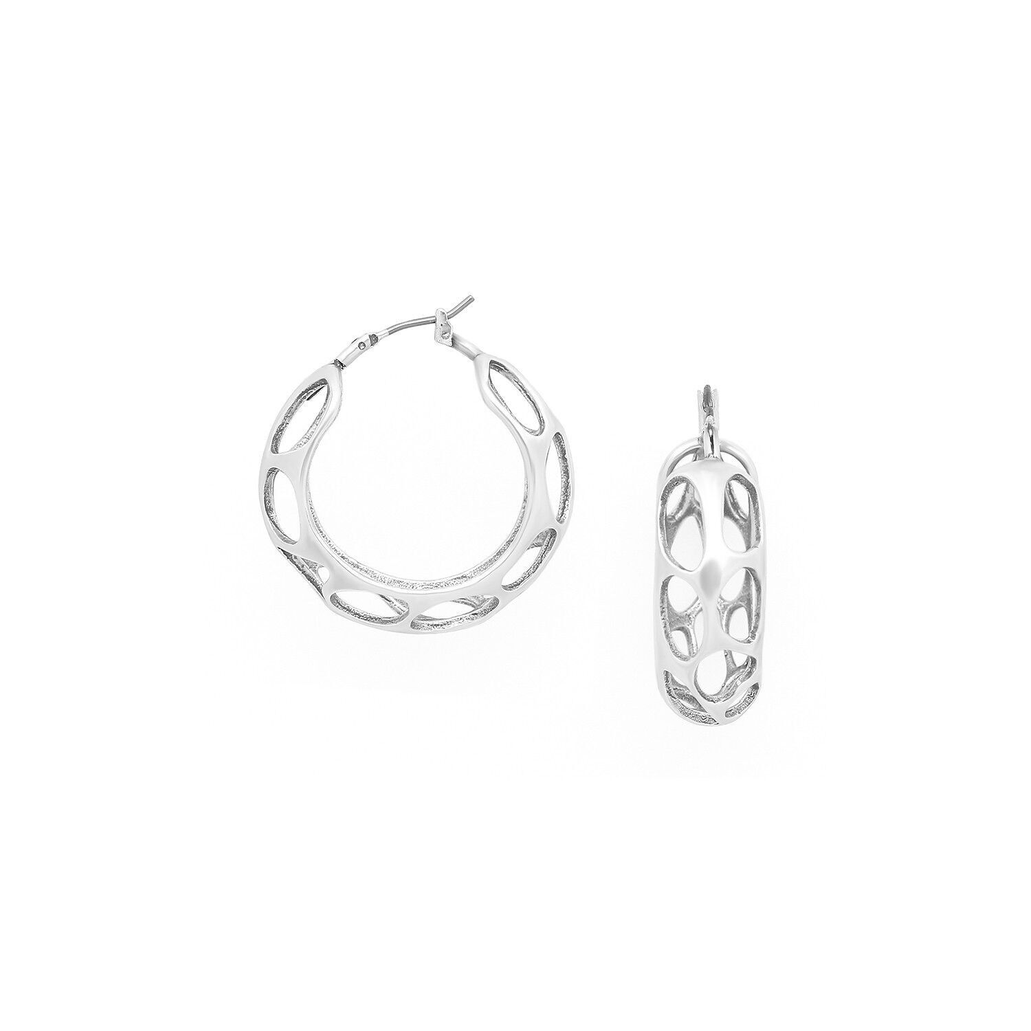 FELIDAE Silber Creolen