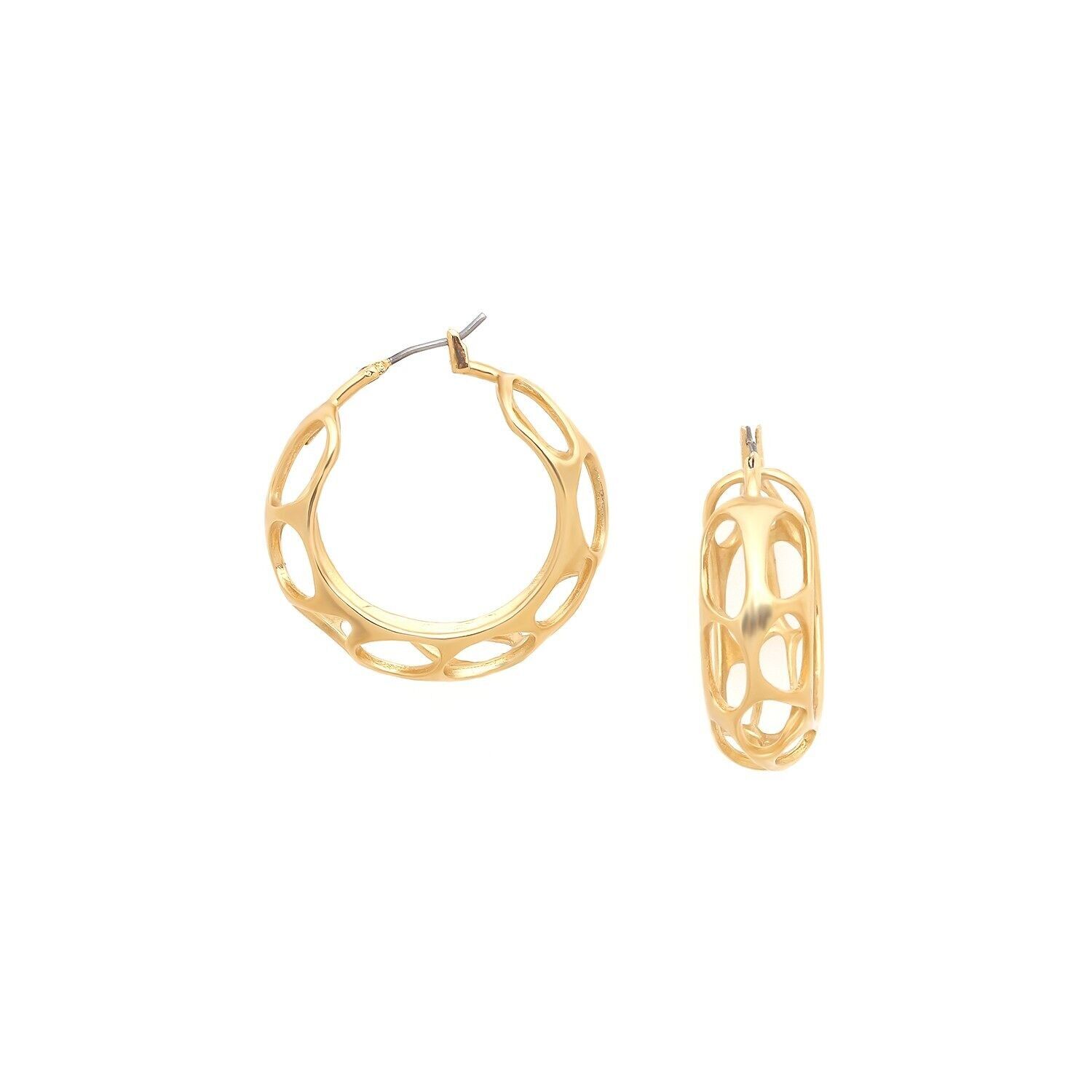 FELIDAE goldene Creolen