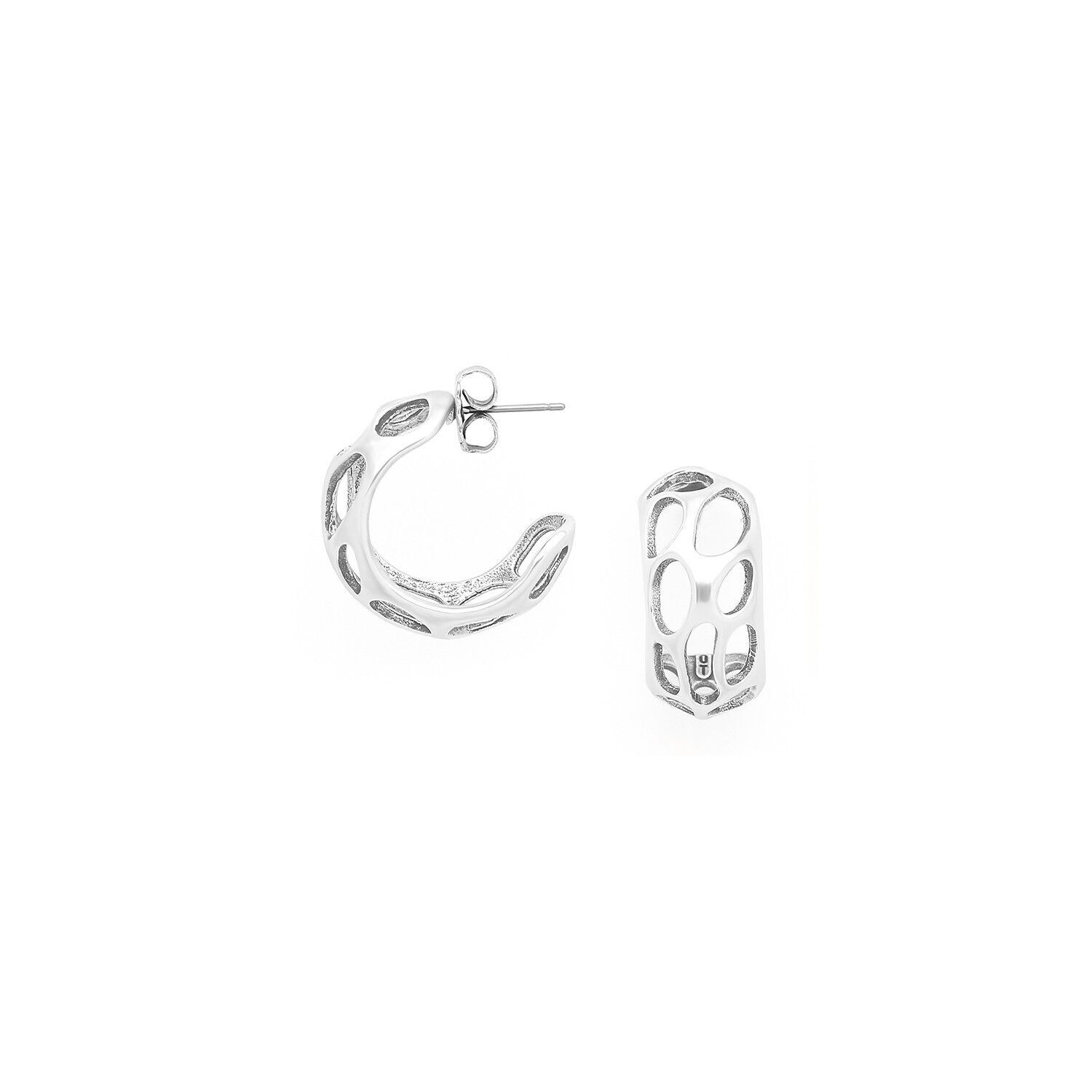 FELIDAE kleine silberne Creolen