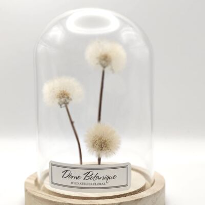 Botanical Dome "Dandelion, Dried Flower Bell - Medium