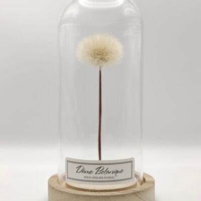 Botanical Dome "Dandelion", dried flower bell - Top