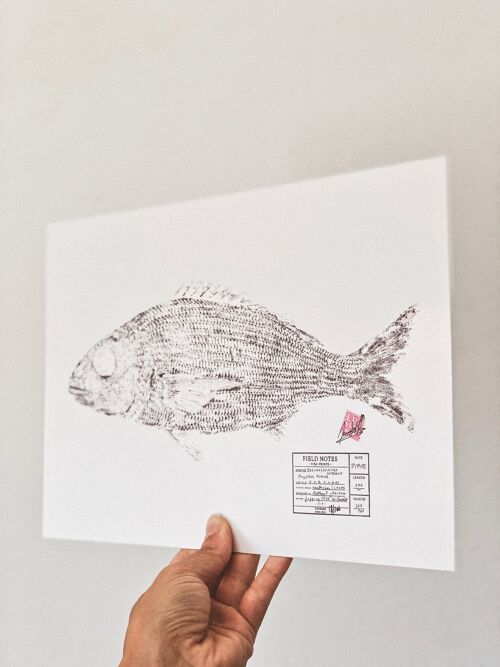 Besugo | Axillary Sea Bream * Fish Print