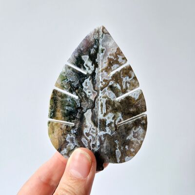 Gemma Druzy Agata Muschiata Foglia Monstera (8 x 5,5 cm) – Natura, Crescita e radicamento