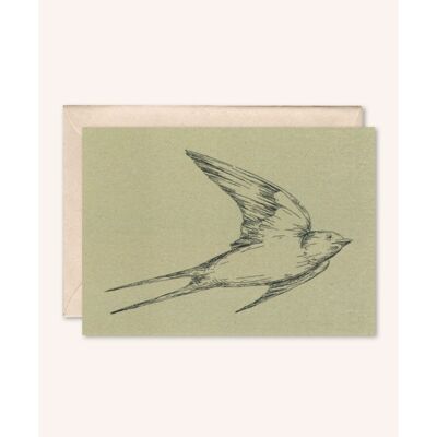 Sustainable card + envelope | swallow | Sage