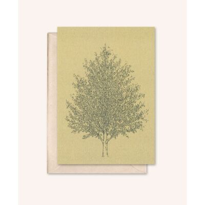 Duurzame kaart + envelop | Amberboom | Walnoot