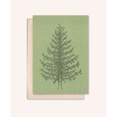 Sustainable Christmas card + envelope | Pine tree | rosemary