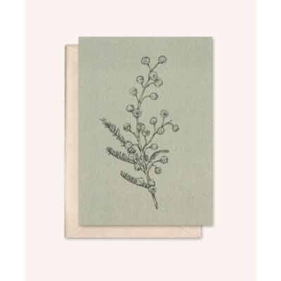 Sustainable card + envelope | Mimosa | silver fir