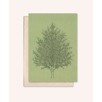 Sustainable card + envelope | Amber tree | rosemary