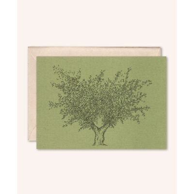 Nachhaltige Karte + Umschlag | Olivenbaum | Rosmarin