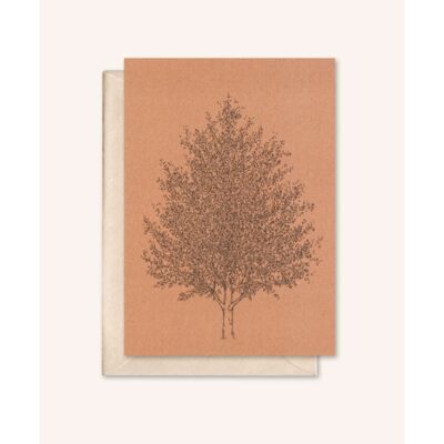 Sustainable card + envelope | Amber tree | Peach