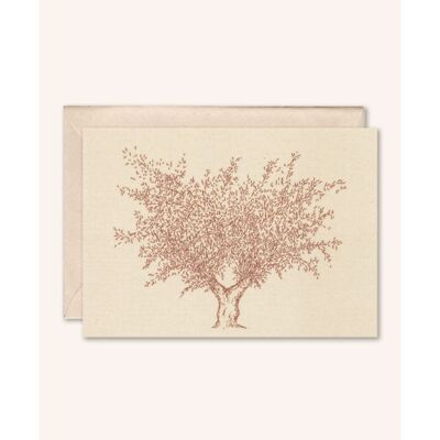 Sustainable card + envelope | Olive tree | elderflower