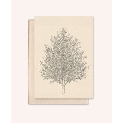 Sustainable card + envelope | Amber tree | elderflower