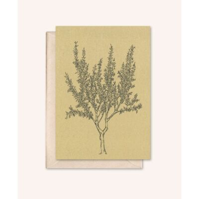 Sustainable card + envelope | almond tree | Walnut