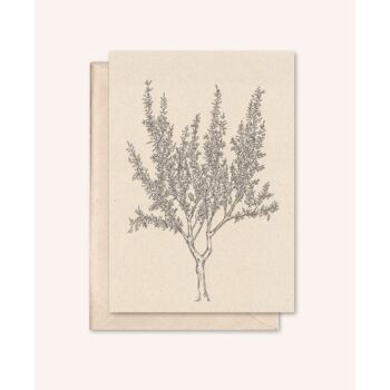 Carte durable + enveloppe | amandier | fleur de sureau 1