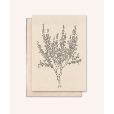Sustainable card + envelope | almond tree | elderflower